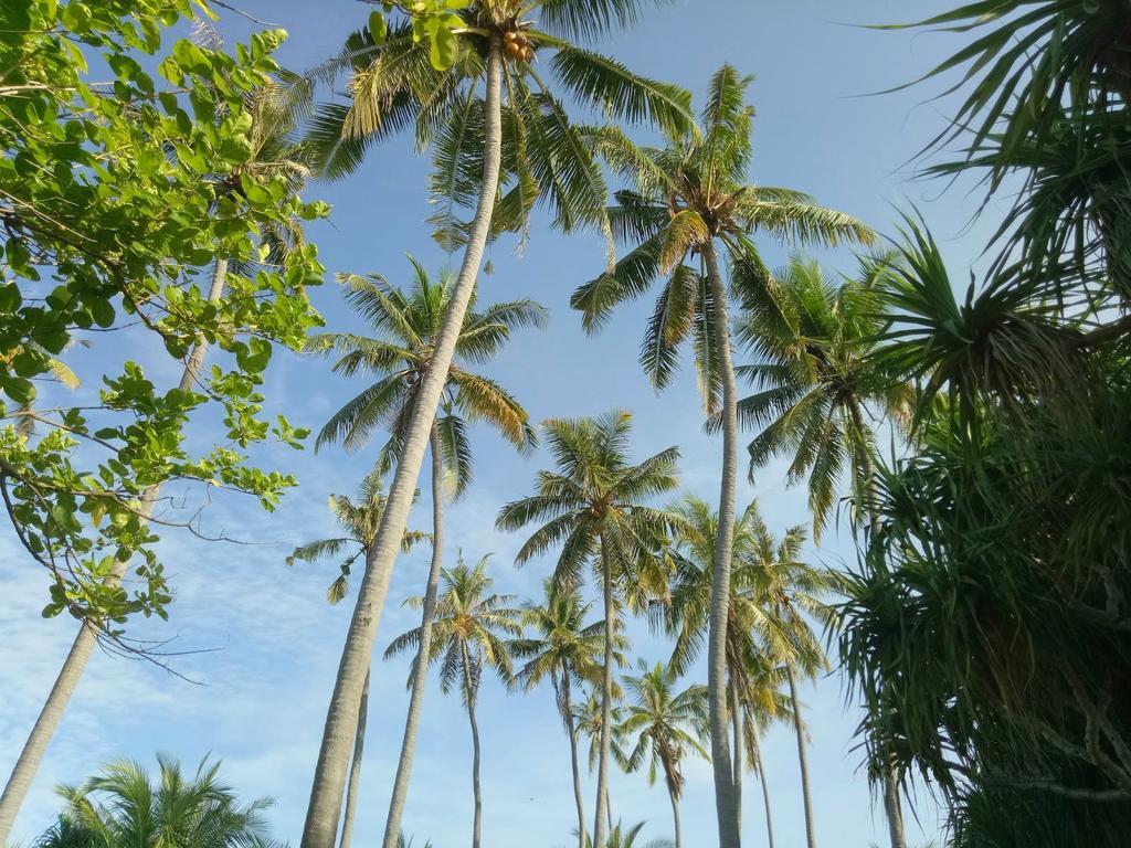 Puri Saron Senggigi Hotel Esterno foto
